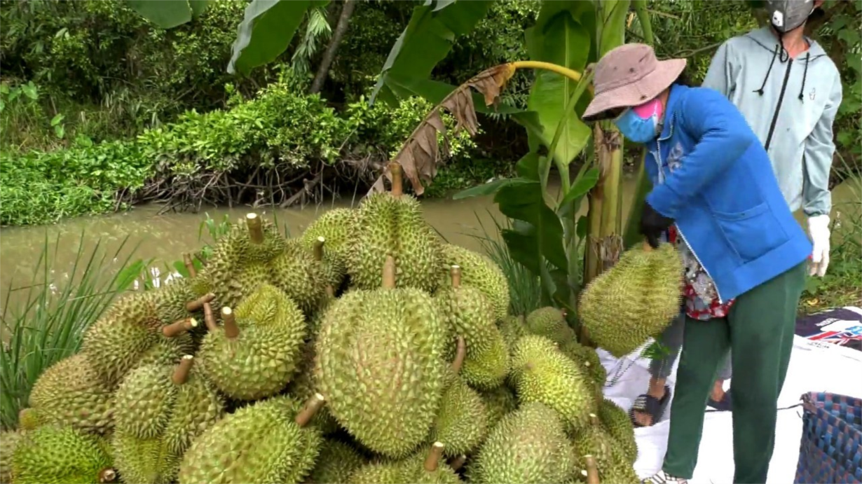 Ngành rau củ quả Việt giao thương trực tiếp để tăng giá trị xuất khẩu (20/03/2024)